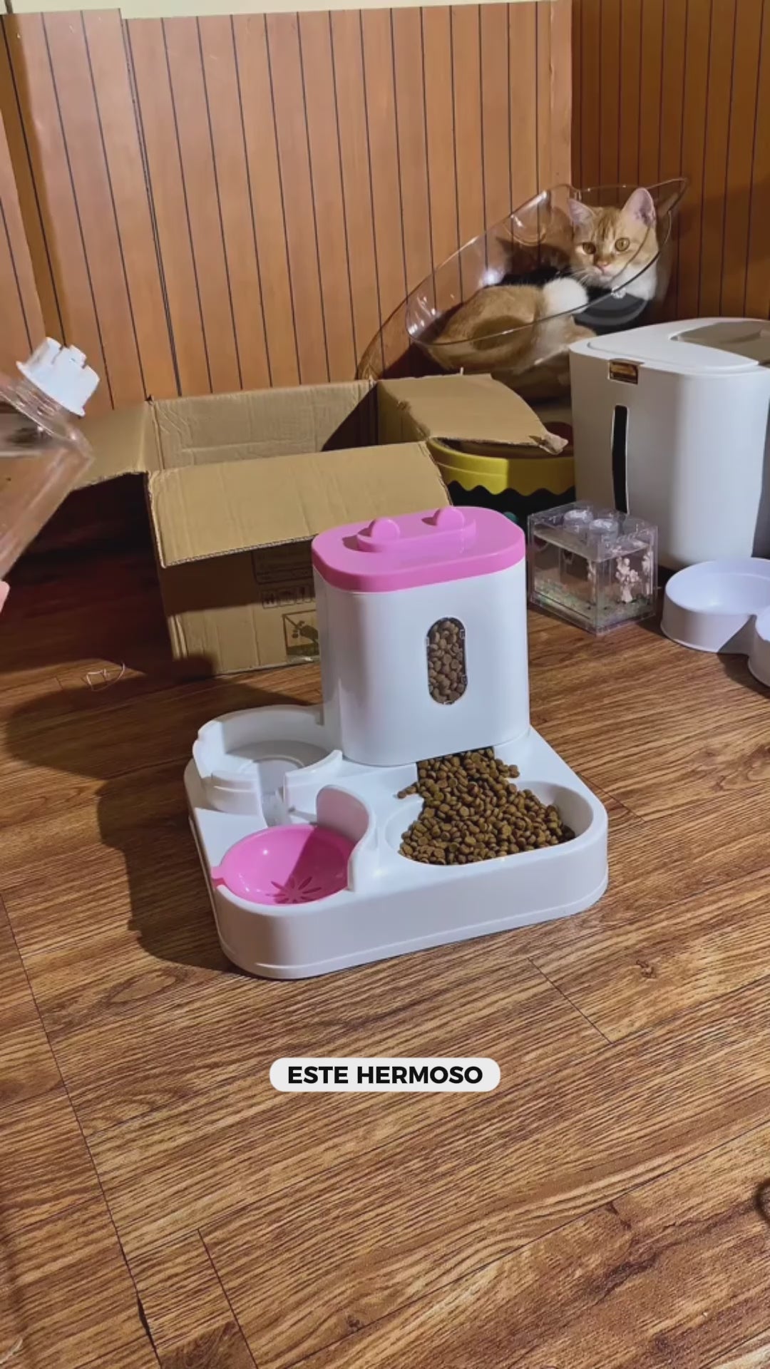Dispensador Automático de Comida y Agua 2 en 1